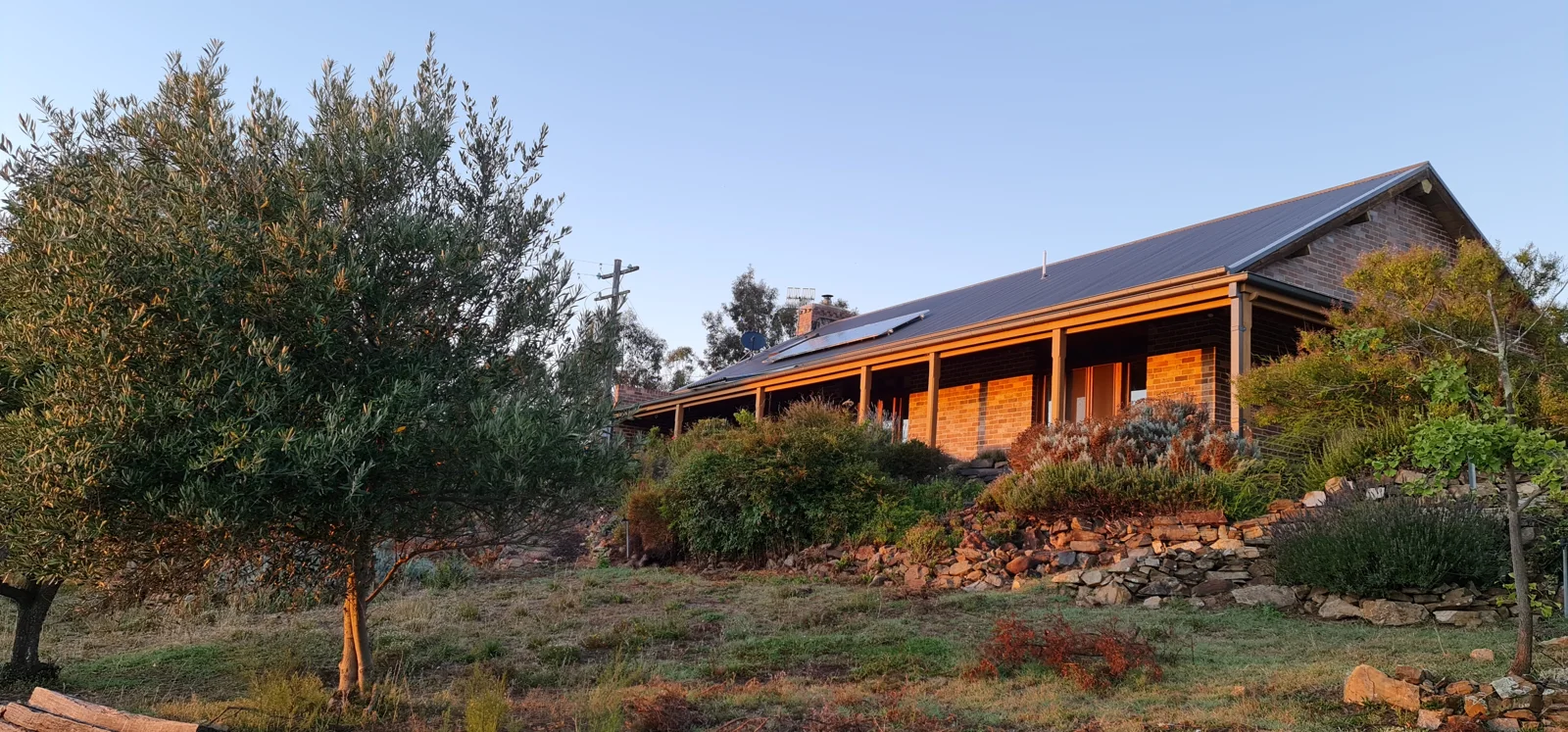 Berridale Cottage in the soft morning light