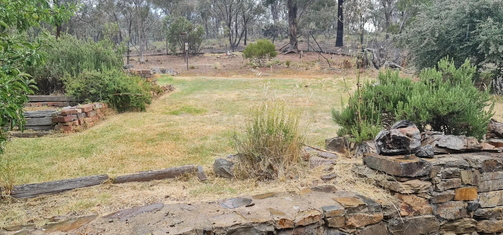 Fenced area for dogs